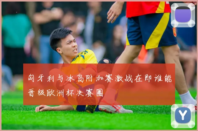 匈牙利与冰岛附加赛激战在即谁能晋级欧洲杯决赛圈