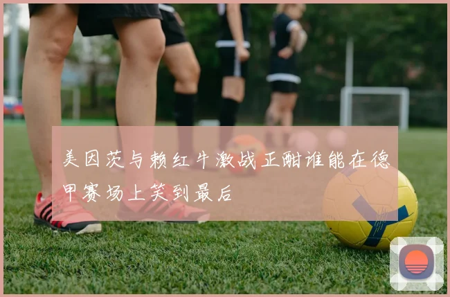 美因茨与赖红牛激战正酣谁能在德甲赛场上笑到最后