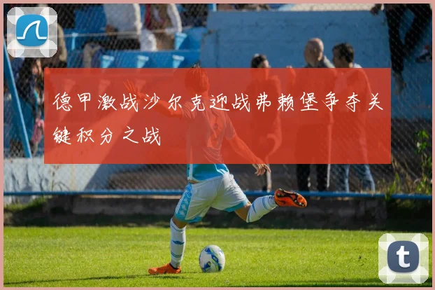 德甲激战沙尔克迎战弗赖堡争夺关键积分之战
