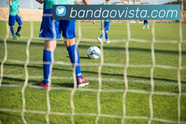 App Interface Preview