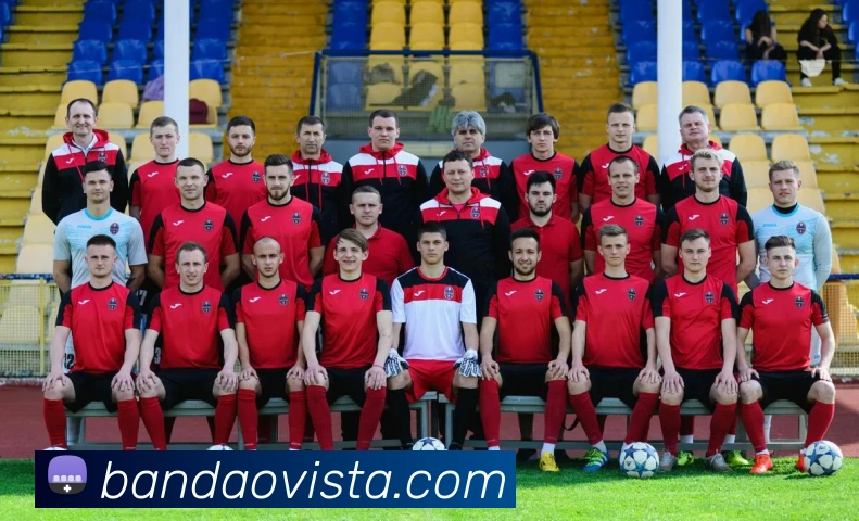 半岛体育APP 封面图